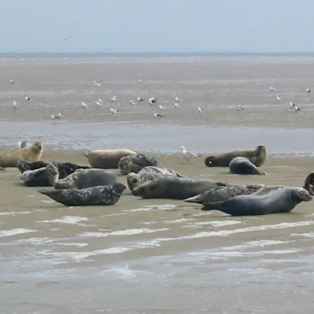 Wiringherlant-24 By Interhome Дом отдыха Хипполитюсхуф